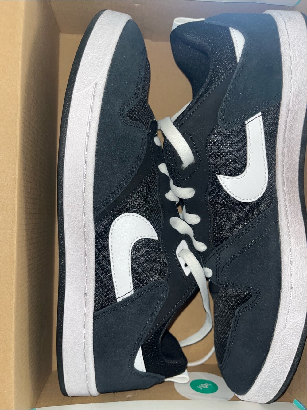 Nike SB Alleyoop